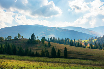 Obraz premium rural area of carpathian mountains in autumn. wonderful landscape of borzhava mountains in dappled light observed from podobovets village. agricultural fields on rolling hills near the spruce forest