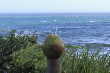 uma passada pela orla do rio de janeiro