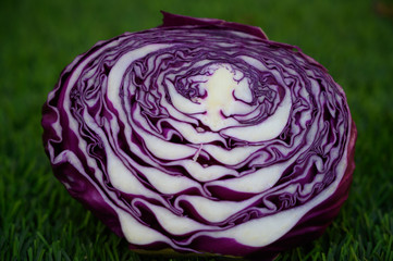 Obraz premium Cabbage