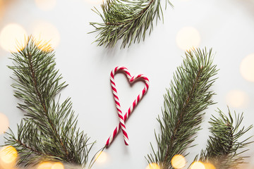 Heart shape made of tasty candy canes and fir tree twig on color background, top view Space for text