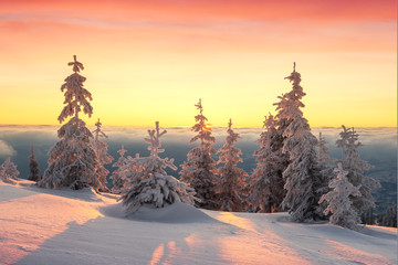 Fantastic orange winter landscape in snowy mountains glowing by sunlight. Dramatic wintry scene...