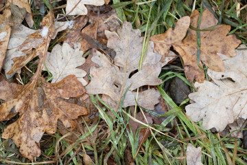 A beautiful Gooseberry Falls State Park of Minnesota.