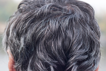 Grey hair. Gray hair on the head. Backside portrait of man
