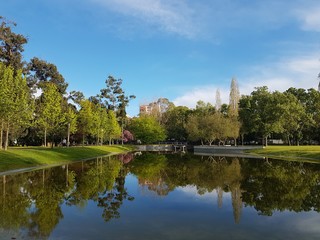 Cute lake in the city park. 