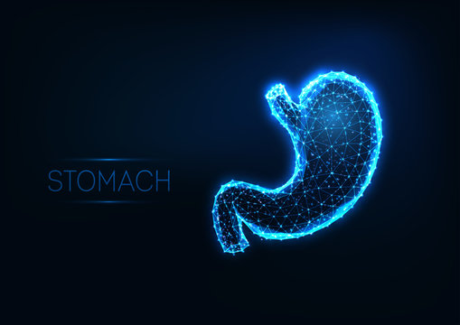 Futuristic glowing low polygonal human stomach isolated on dark blue background.