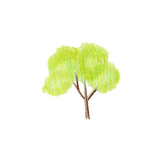 Illustration of a green tree with colored pencils, ecologic organic icon on a white background isolated. Children illustration