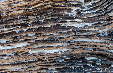 Driftwood dusted with sand. Abstract rustic background or backdrop. Beautiful natural ocean beach scene.