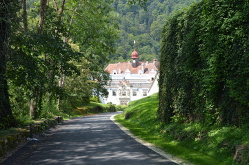 Fototapeta na wymiar Schloss Herberstein
