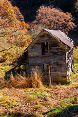 Old Barn Structure set in the Autumn Countryside