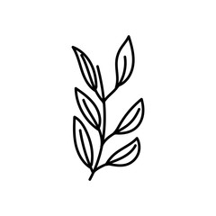 branch foliage natural decoration icon thick line