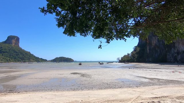 Very strong low tide on a tropical island. boats aground, the wind sways the tree branches.
