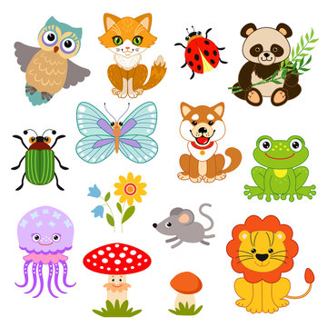 Set of funny characters: animals, birds, insects, plants.Owl, cat, ladybug, panda, beetle, butterfly, dog, frog, jellyfish, fly agaric, mushroom, lion, mouse, flower.