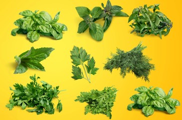 Obraz premium Herb.