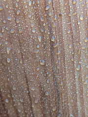 Macro shot of dew drops on smoothed down wood after a light rain