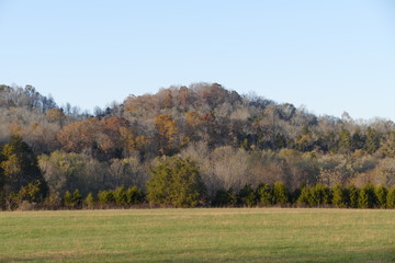 ridge in November