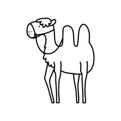 camel desert animal cartoon on white background thick line