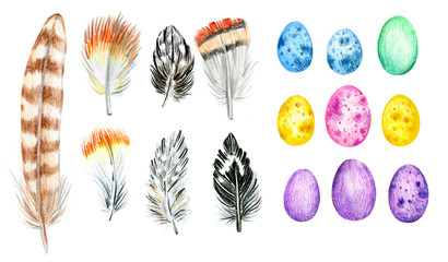 eggs and feathers