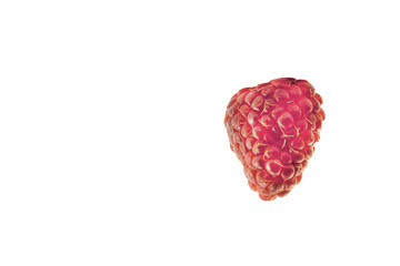 raspberry berry on white background,isolate