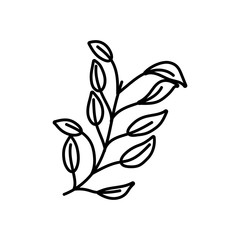 decorative nature foliage leaves branch icon thick line