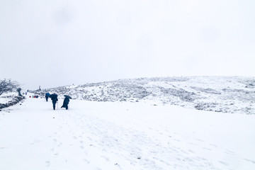 Fototapeta na wymiar Hikers in snowy terrain