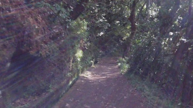 Balcoes levada in Madeira Island, Portugal.