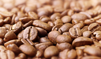 Detail of quality roasted coffee beans