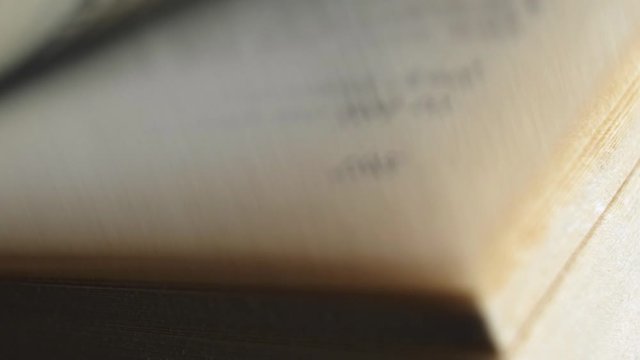 Flicking Through Old Book Page Numbers Close-up