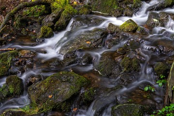 Fototapeta na wymiar Stream and Running Water through forest with long exposure to create blurred water effects for textured background with contrasting sharp rock and fern foreground images