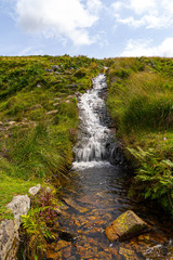 Steam running through dartmoor national park