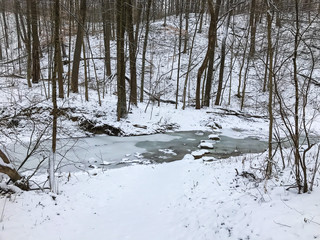 Frozen Stream in Winter Forest with Rocks
