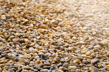 RIVER STONES / PEBBLE STONES FOR BACKGROUND