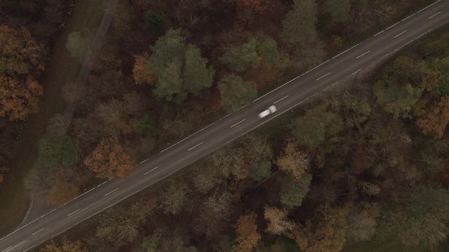 Straße entlang eines herbstlichen Waldes - Ein fahrendes weißes Auto in Draufsicht