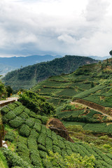 Fototapeta premium Taiwan