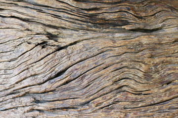 Old wood texture as a background