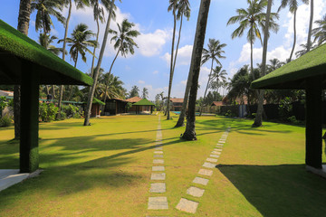 Landscape garden hotel in Sri Lanka