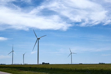 wind turbines in the field
