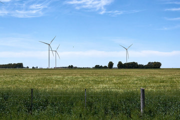 Fototapeta na wymiar wind turbines in the field