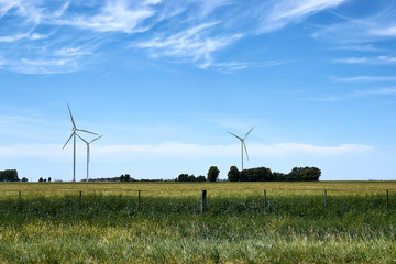 wind turbines in the field