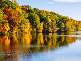 East coast autumn orange yellow red fall leaves lake reflections