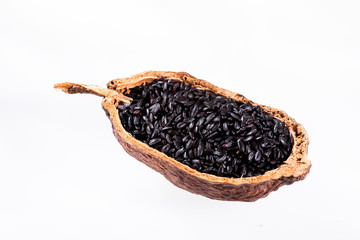Oryza sativa - Organic Raw Black Rice