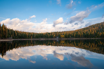 Montana reflections of Tamarack