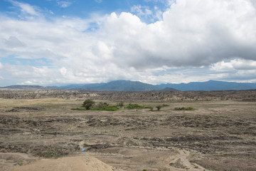 A few trees with blue sky in middle of Tatacoa Desert Landscape, Huila, Colombia