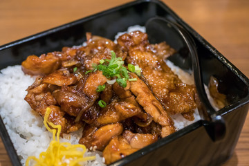 Close-up view of the Japanese teriyaki chicken with rice