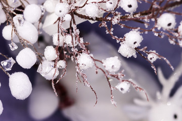 Christmas home decor frozen tree branch in snow. Space for text