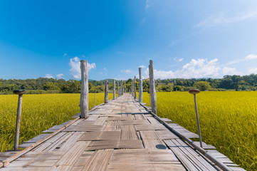 Bamboo bridge Zutongpae in Mae hong son,tourist village nature background