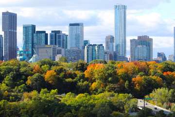 Obraz premium Panoramę miasta z drzewami i parkiem miejskim