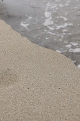 海