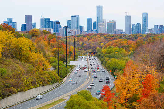 City highway, expressway, freeway in a forest valley with city skyline