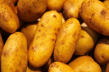 Fresh potatoes in the pick-up market