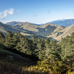 Fototapeta na wymiar mountain scenery in Mt. Hehuan